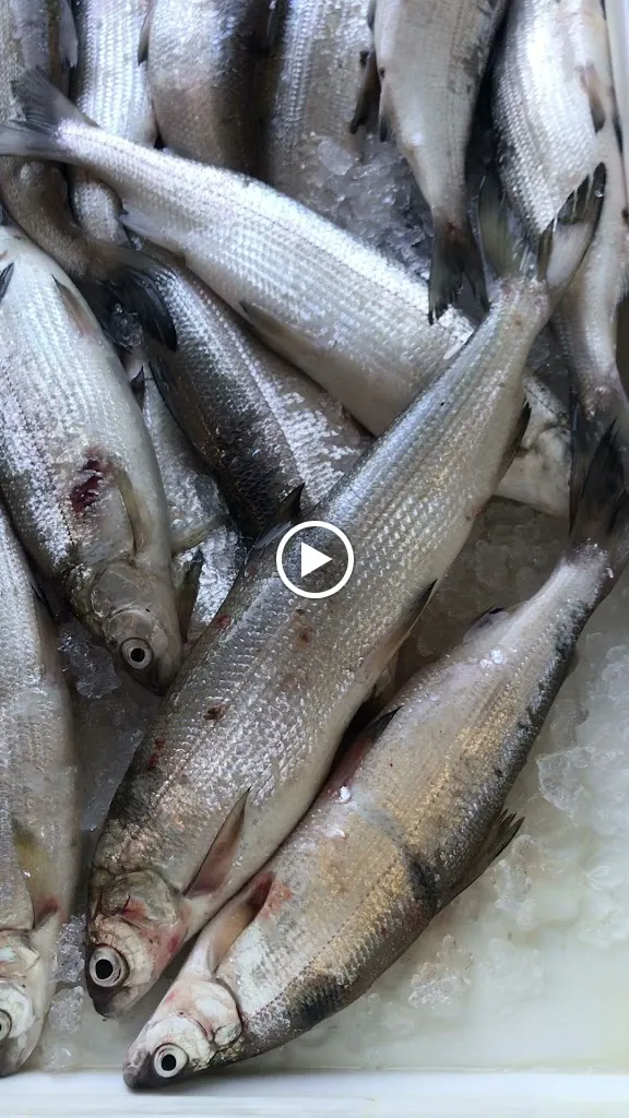 Ristorante Da Osvaldo_San Felice del Benaco_slider_image_2