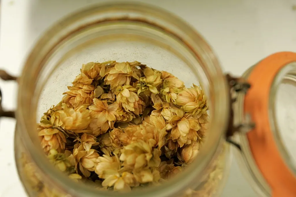 Menu_Birrificio Felice_San Felice del Benaco_immagine_3