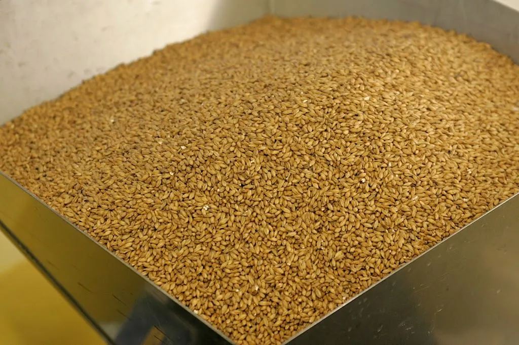 Menu_Birrificio Felice_San Felice del Benaco_immagine_4