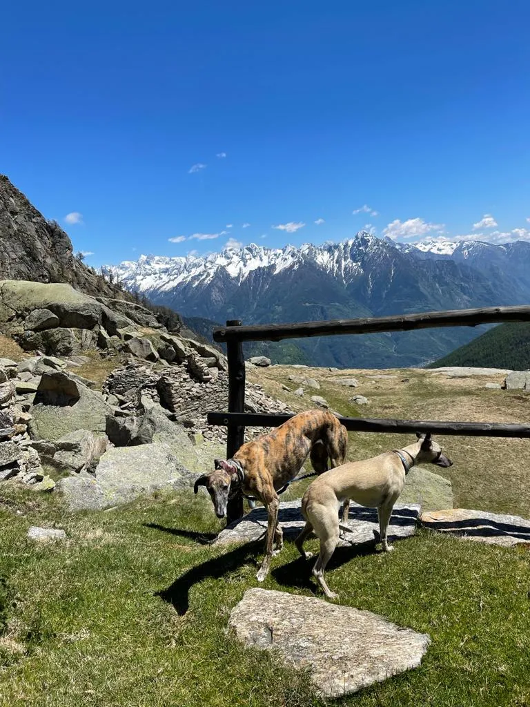 Alpe Cornera Truzzo_San Giacomo Filippo_slider_image_3