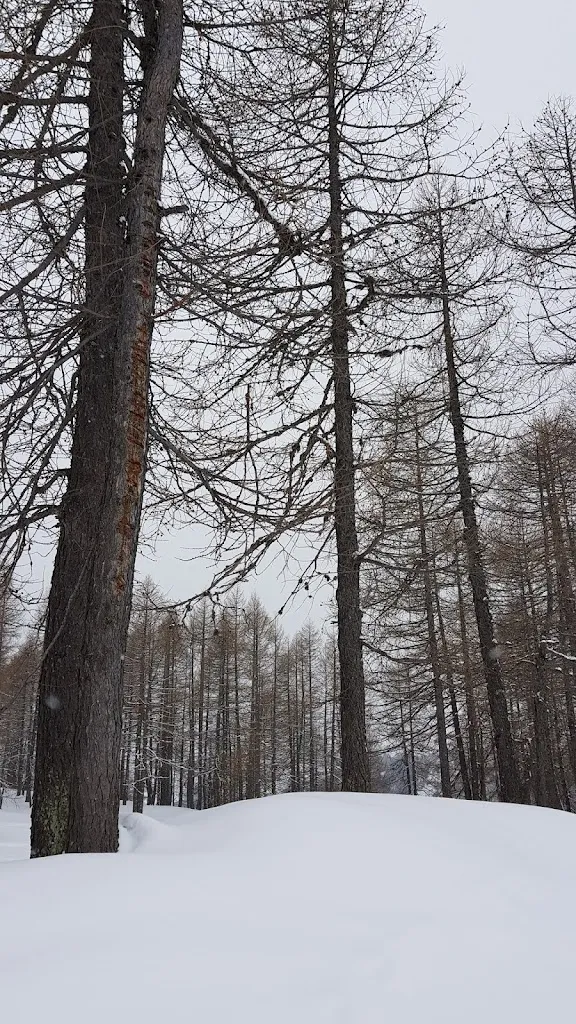 Vittorio Perego_Ristorante di Gallivaggio_San Giacomo Filippo_review