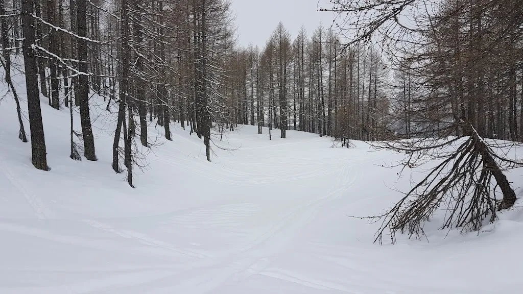 Ristorante di Gallivaggio_San Giacomo Filippo_slider_image_3