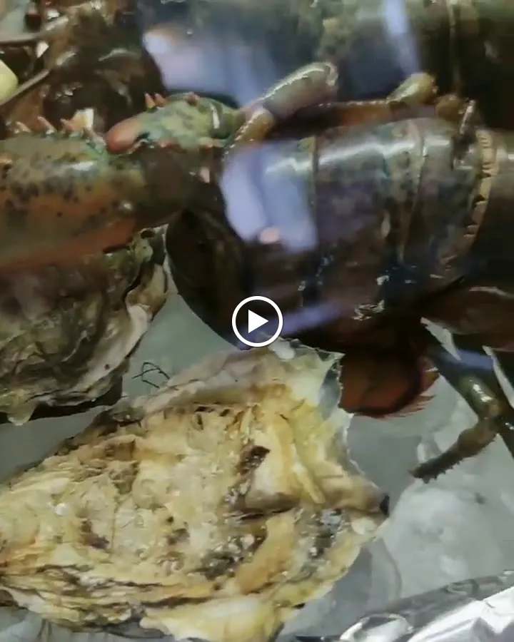 Lo Scudiero Ristorante Pizzeria_San Giorgio Su Legnano_slider_image_2