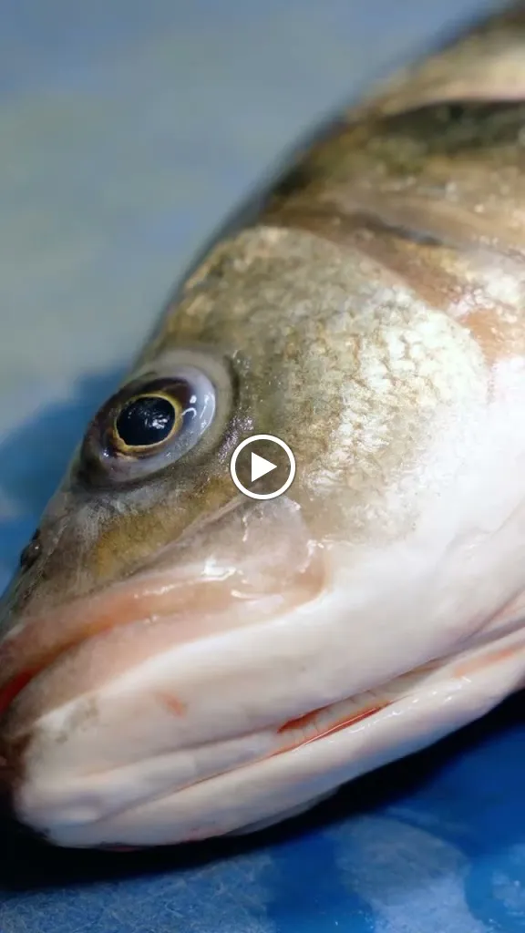 Soul Restaurant_San Giorgio Su Legnano_slider_image_2