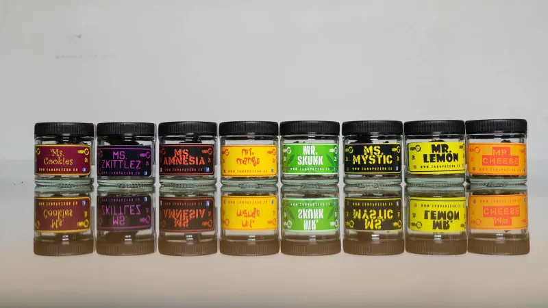 Menu_La Meccanica del Caffe'_San Martino Siccomario_image_2