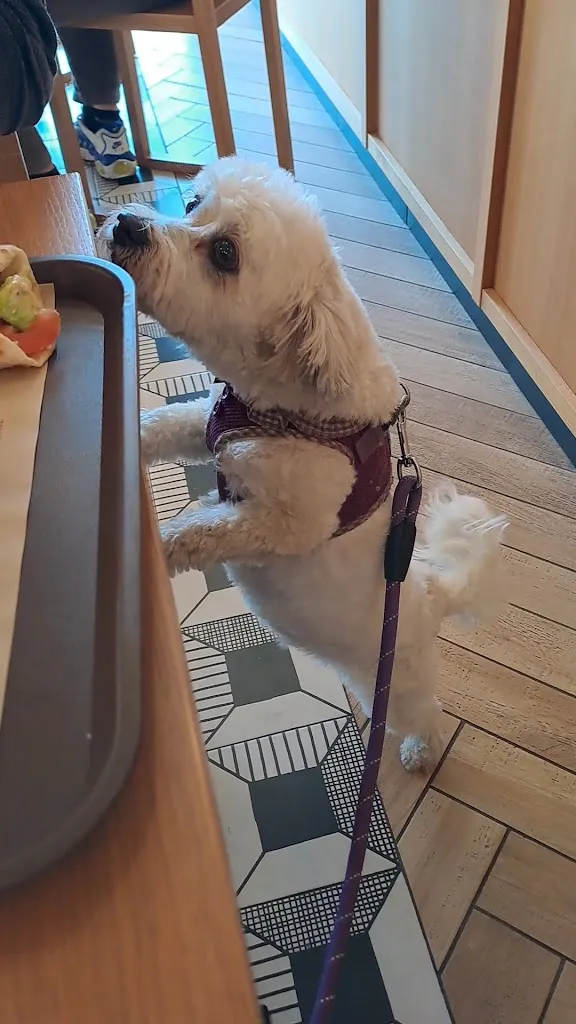 La Piadineria_San Martino Siccomario_slider_image_2