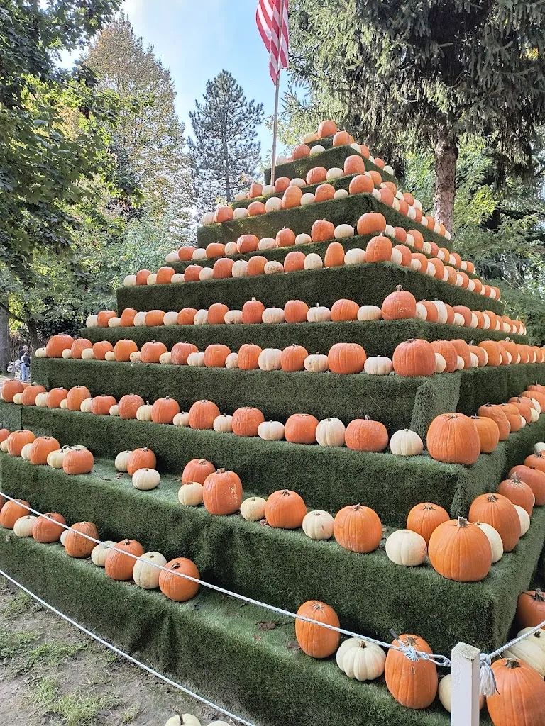 Federico Papa_Puravida_San Martino Siccomario_review