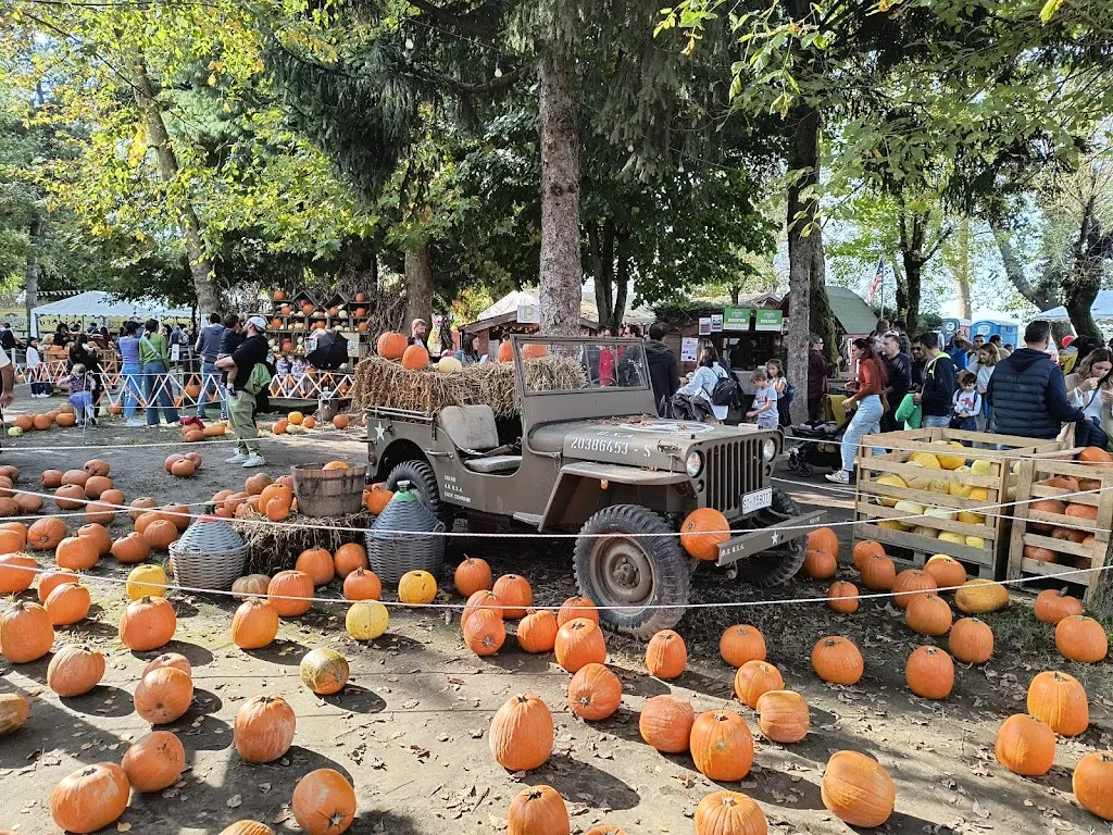 Puravida_San Martino Siccomario_slider_image_1