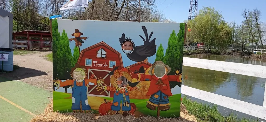 Puravida_San Martino Siccomario_slider_image_3