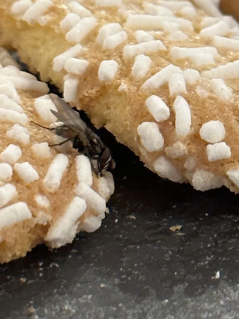 Sergiu Suiu_Ristorante Ca’ Bigio_San Pellegrino Terme_review