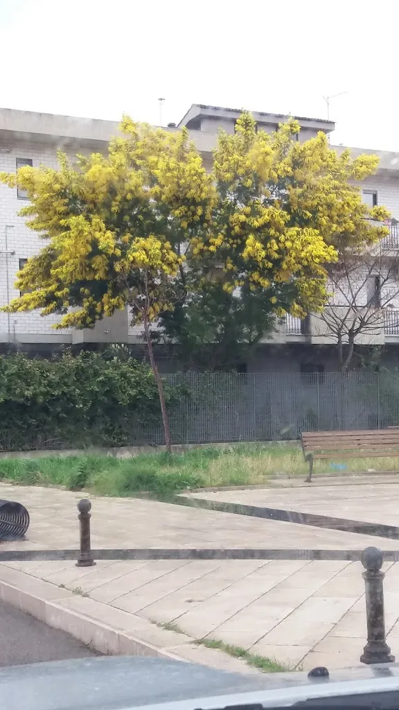 King Artur_Carapelle_slider_image_2