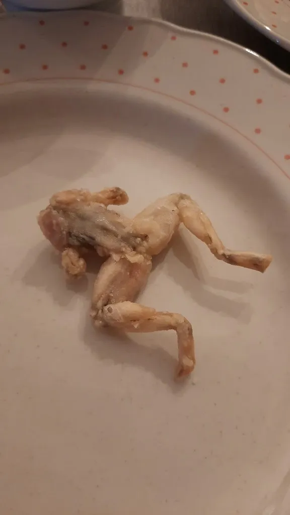 Menu_Osteria Denum_San Zenone al Lambro_image_2