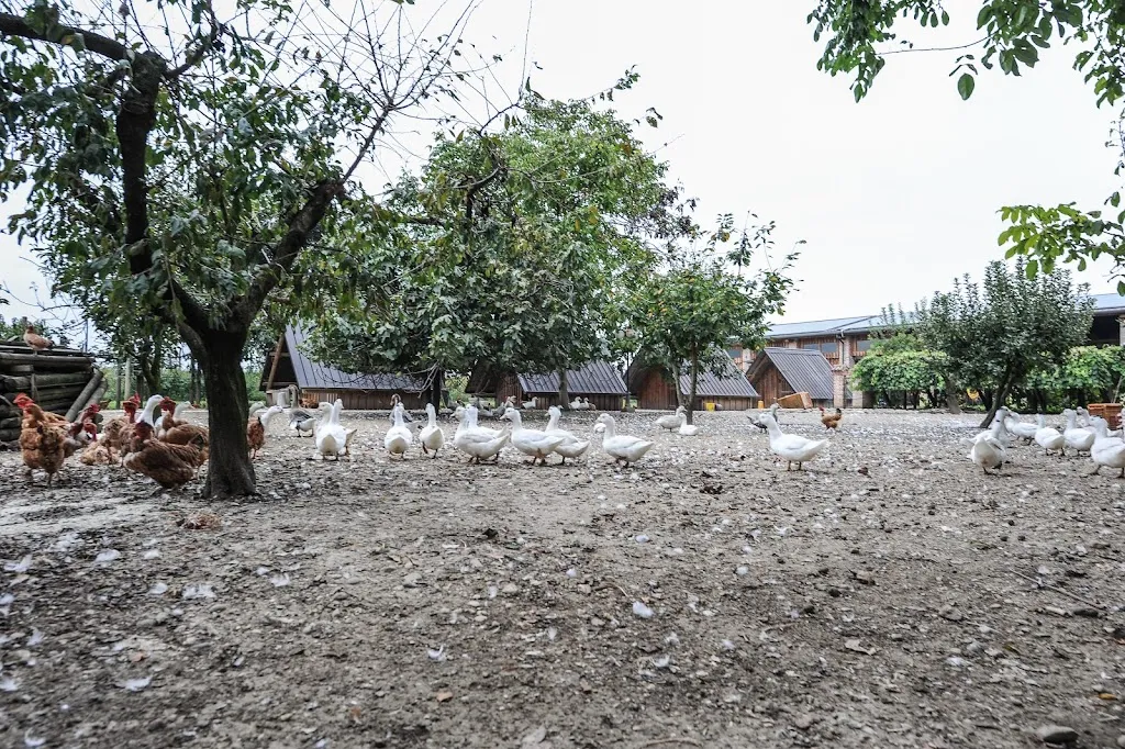 Ristorante Da Paradiso_San Zenone_slider_image_3