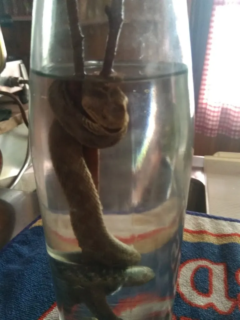 Menu_La Baracca_Schilpario_image_6