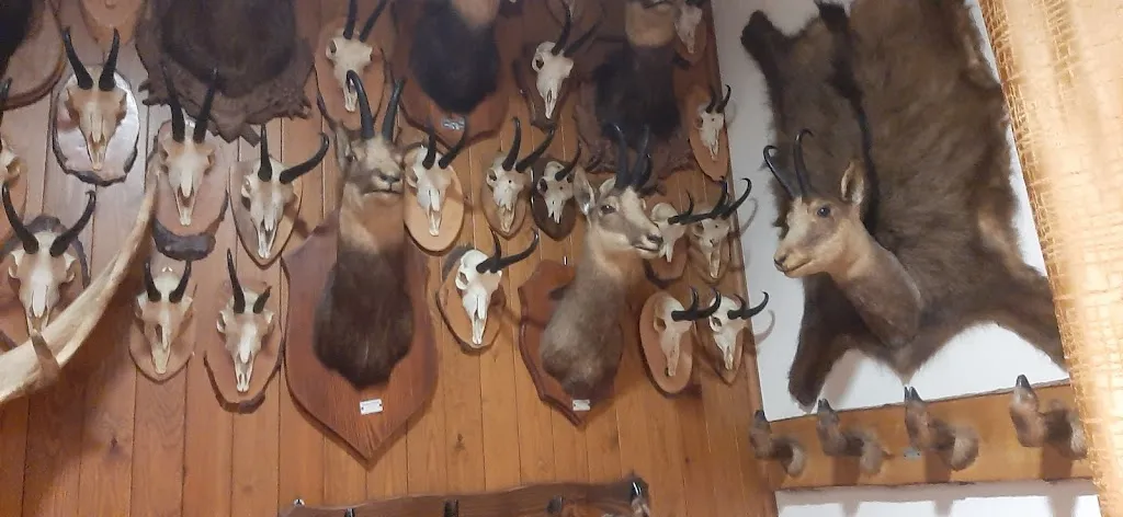 Trattoria Il Cacciatore_Sedrina_slider_image_3