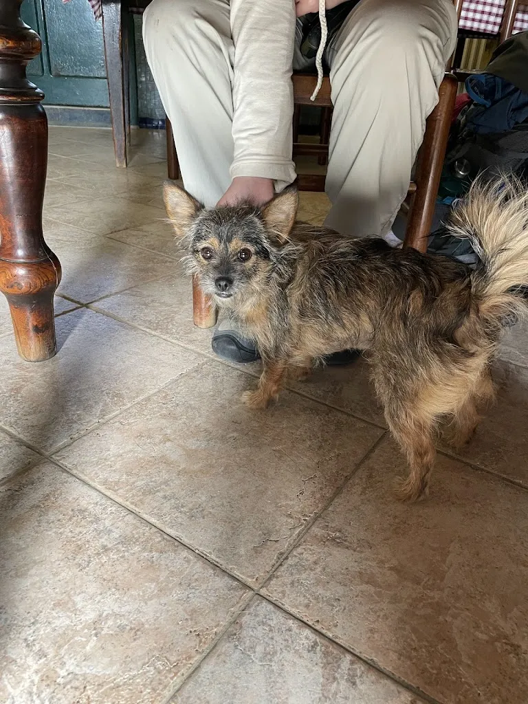 Culinary Slut_Osteria della Corona_Senna Lodigiana_review