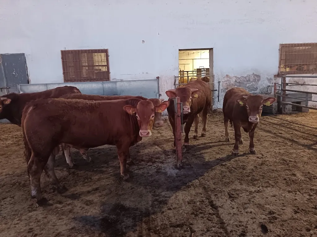 Masseria Chiusura di Sotto_Caprarica di Lecce_slider_image_1