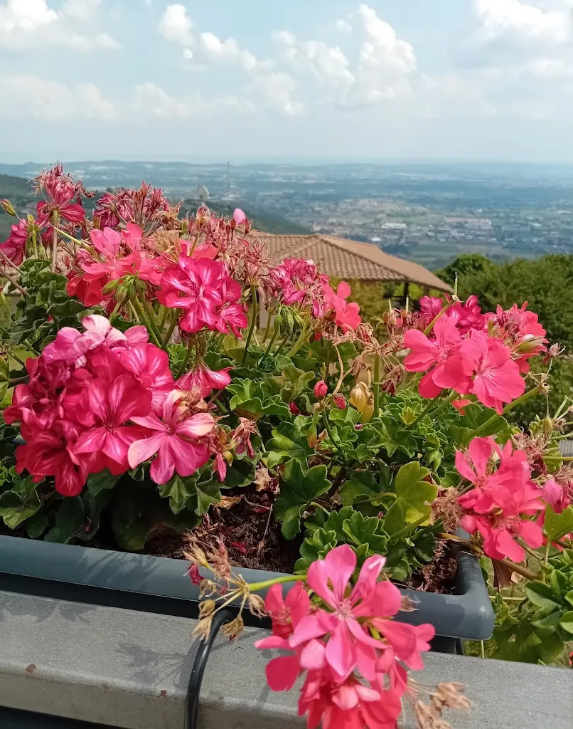 Monica Cavalli_Osteria Antica Fornace - Grigliate Serle_Serle_review