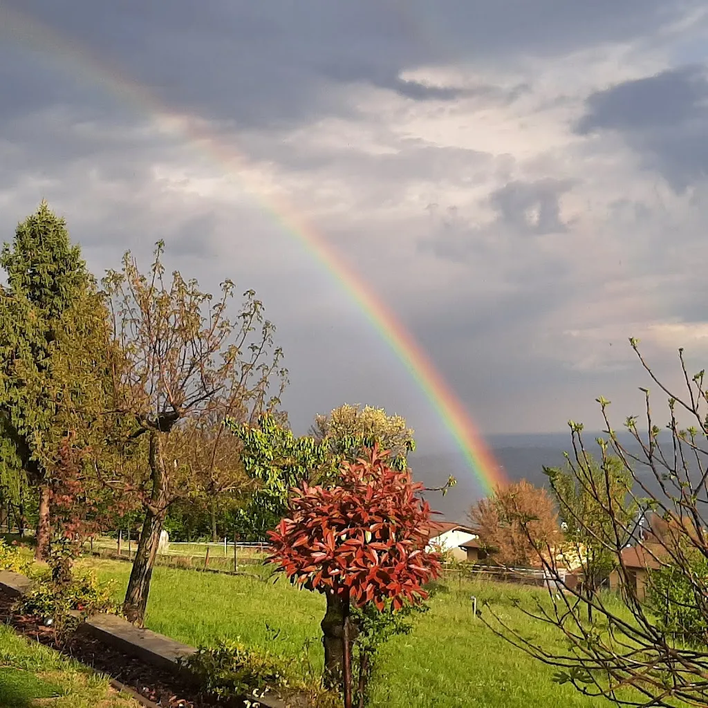 Ristorante Pizzeria Bar Aurora_Serle_slider_image_1