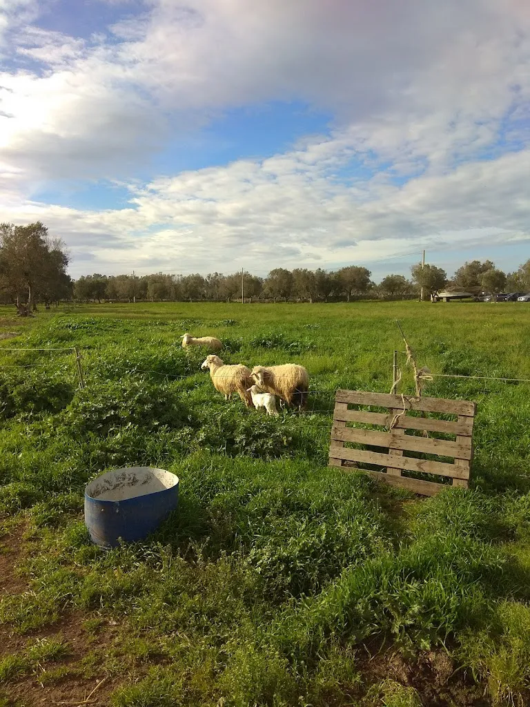 Masseria Li Curti_Caprarica di Lecce_slider_image_2