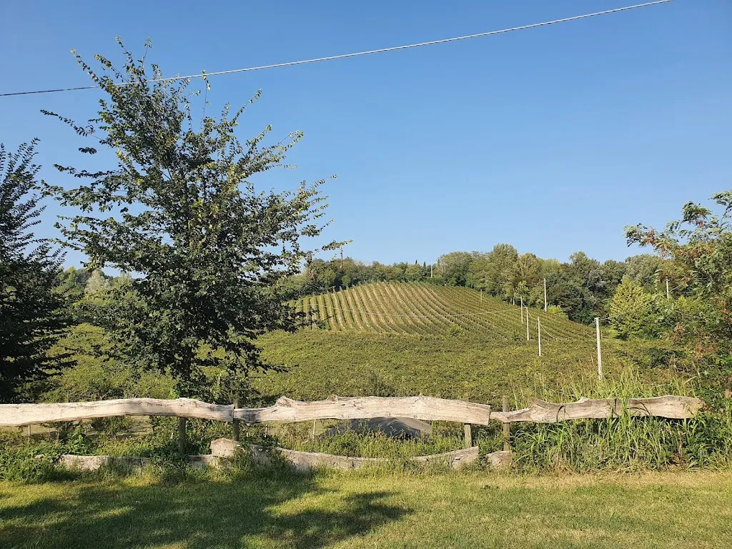 Arjen Woortman_Cascina Le Volpi Agriturismo_Solferino_review