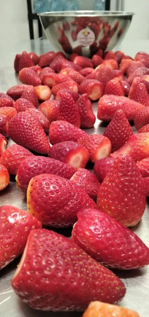 Menu_Gelateria Padula_Campi Salentina_image_9