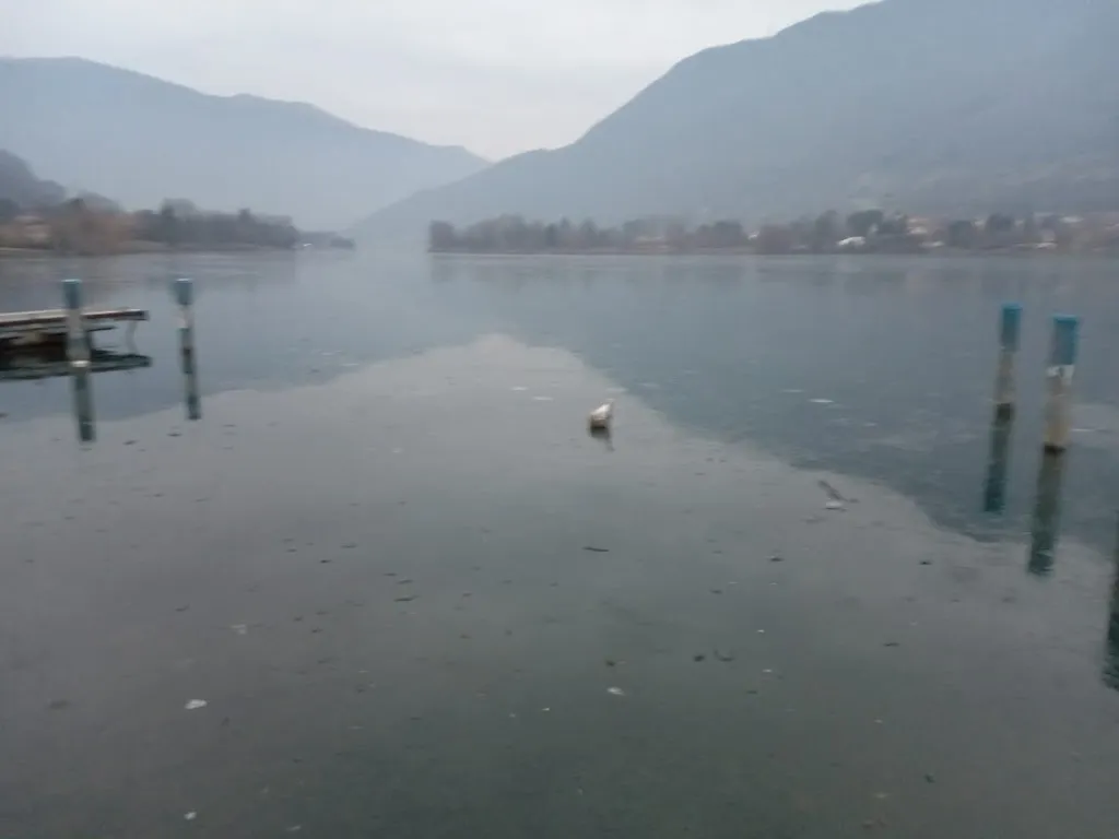 Monica Locatelli_La sentinella_Spinone al Lago_review