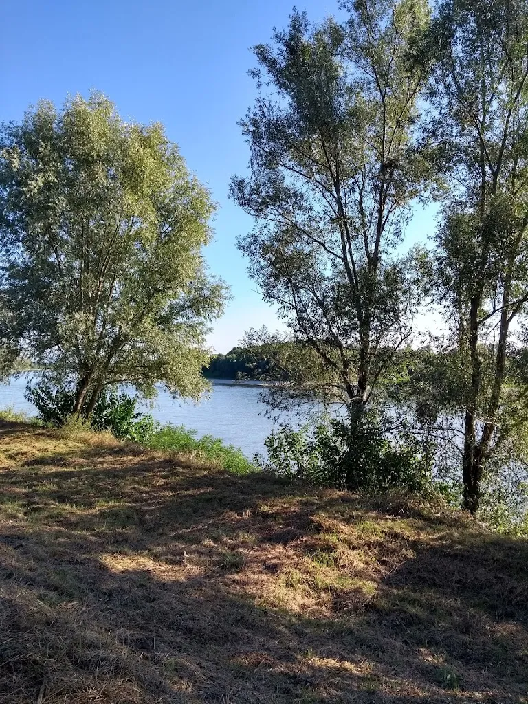 Ristorante Il salice_Stagno Lombardo_slider_image_1