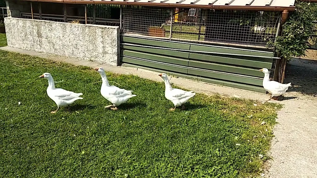 Fund Brugarolo Farm NatureSpa_Sulbiate_slider_image_2