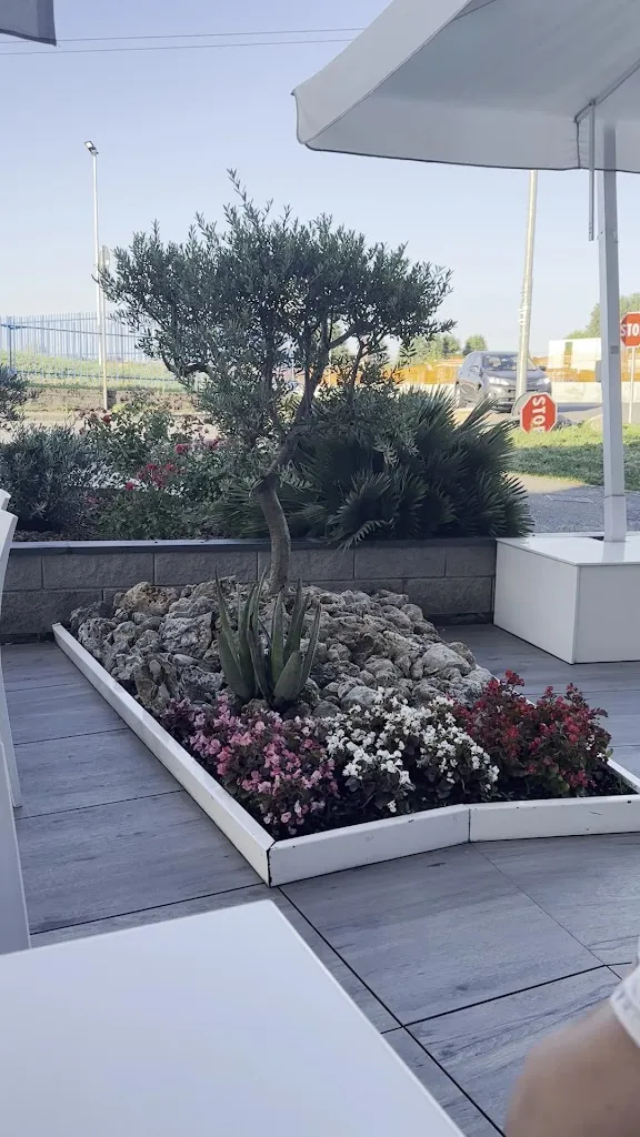 Francesco Sabatti_Caffé Latte_Suisio_review