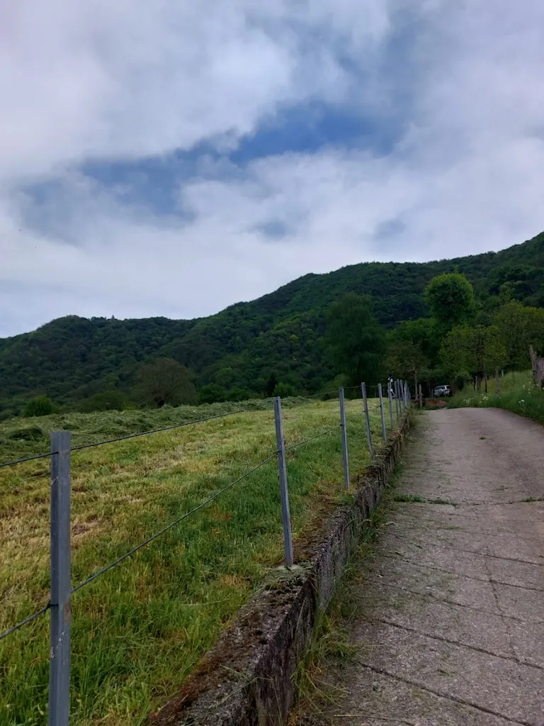 SF_Trattoria da Fopéla_Sulzano_review