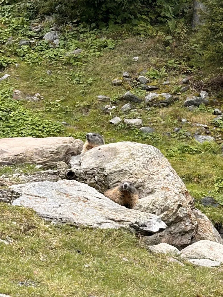 Stefano Bellasio_L'Agrisogno_Tartano_review