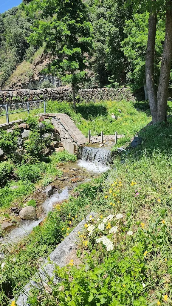 pannacotta chikan_Ristorante Fracia_Teglio_review