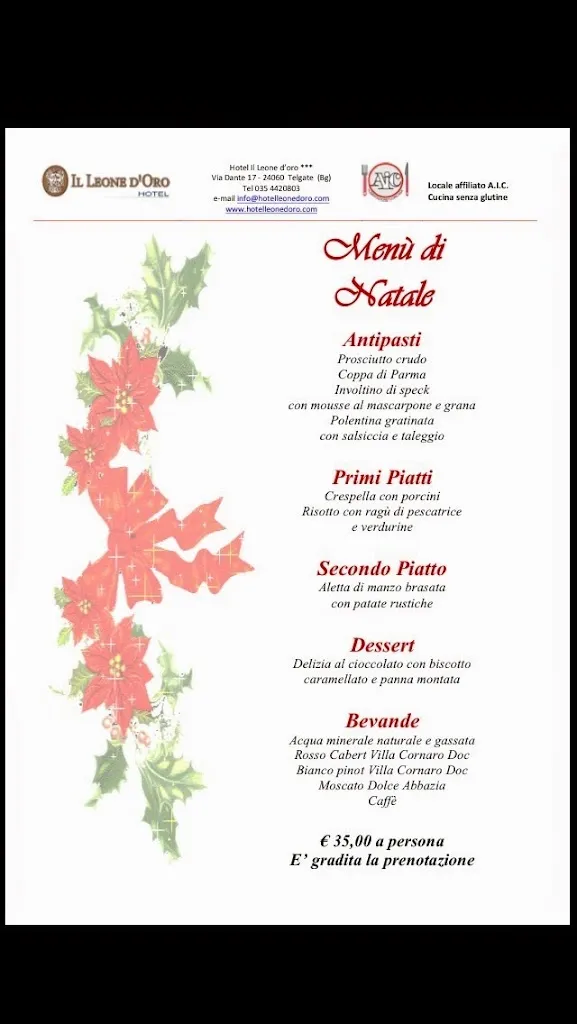 Menu_Il Leone d’Oro - Bistrot Pizzeria_Telgate_image_4