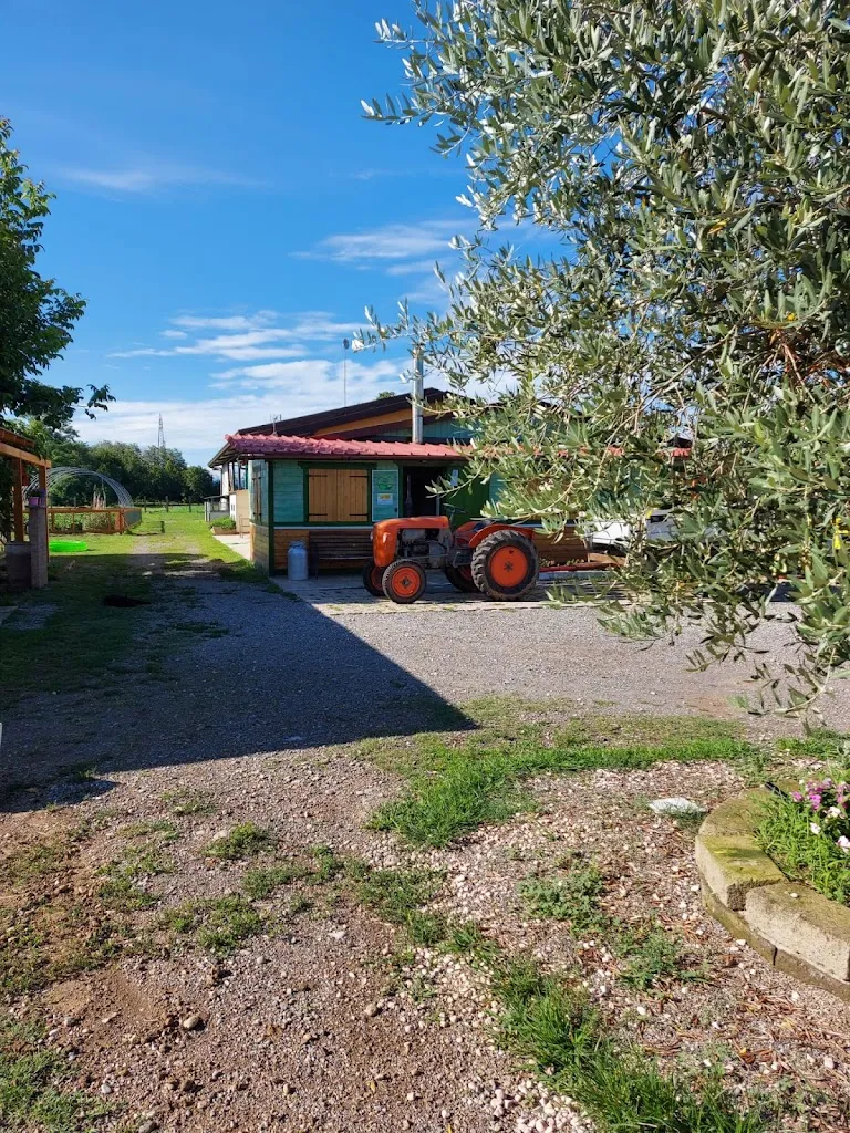 Agriturismo da Ottavia di Ottavia Fossati_Torrazza dei Mandelli_slider_image_1