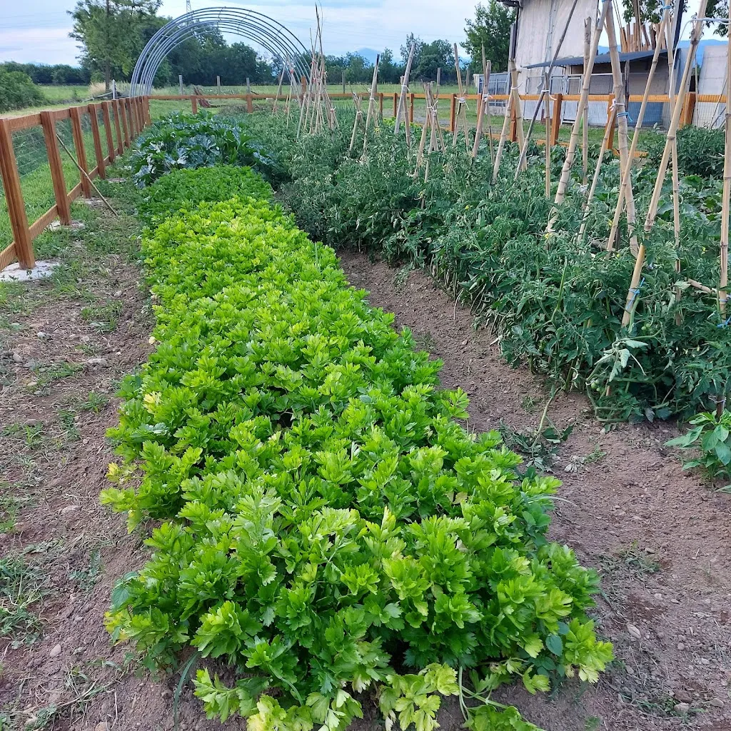 Agriturismo da Ottavia di Ottavia Fossati_Torrazza dei Mandelli_slider_image_3