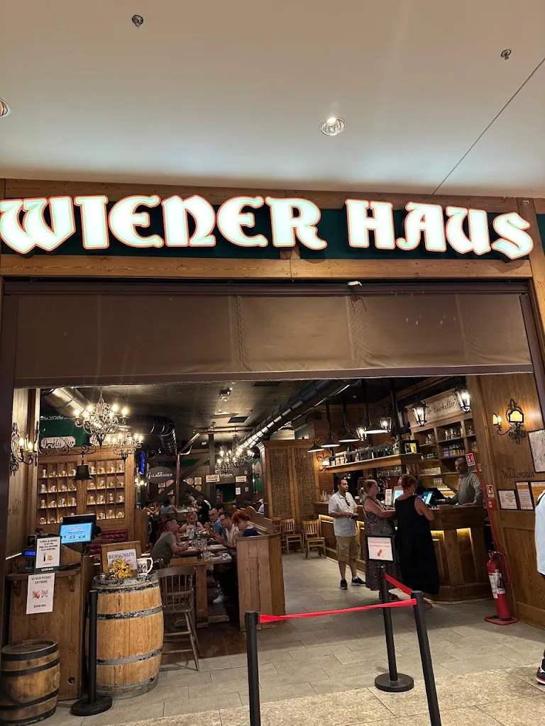 Momen Bayoumi_Wiener Haus_Torre d'Arese_review