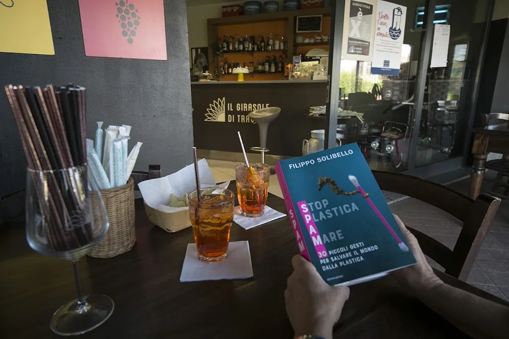 il Girasole di Travacò_Travacò Siccomario_slider_image_2