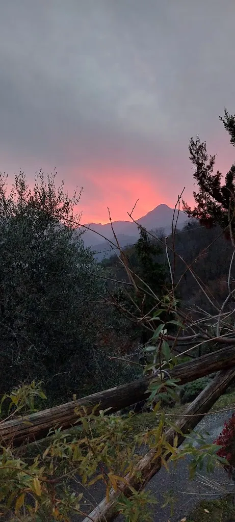 Victor Piccolo_Resort Il Trebbio_Trebbio_recensione