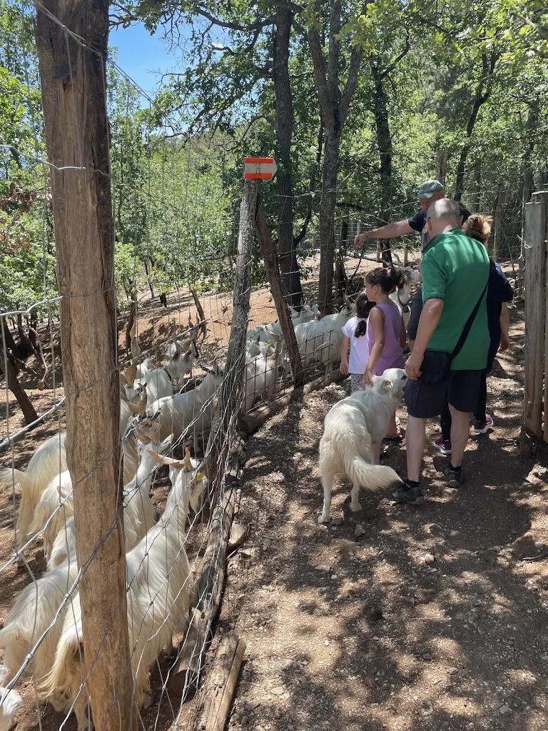 Anna Zeldich_Fattoria Valle Magica_Carapelle Calvisio_review