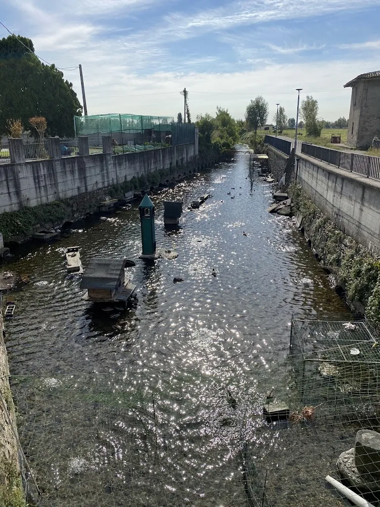 Roberto De Mola_Trattoria Sorgente_Trenzano_review