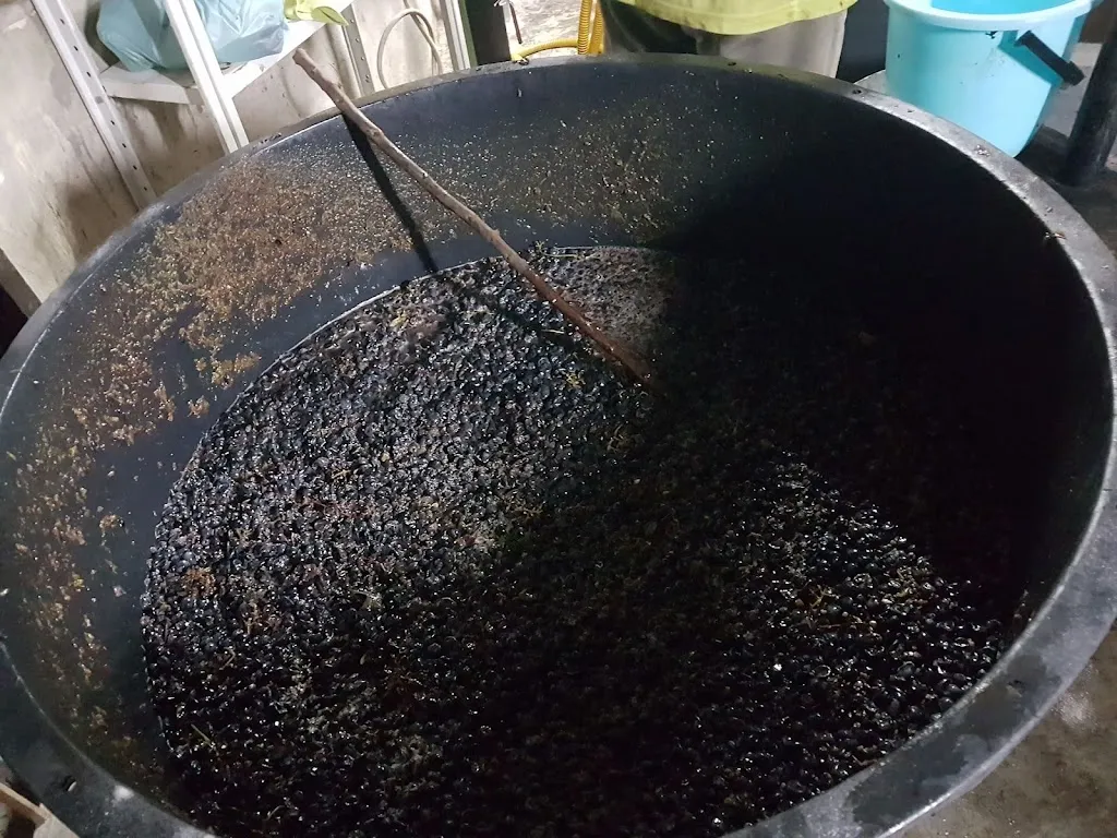 Menu_Pizzeria Il Nido_Carmiano_image_3