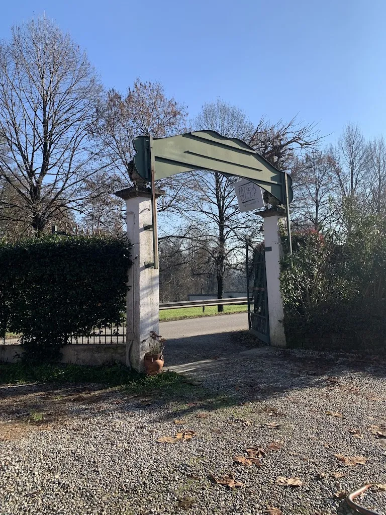 Vincenzo Faggiano_Fiore di Zucca Trattoria Moderna_Truccazzano_review