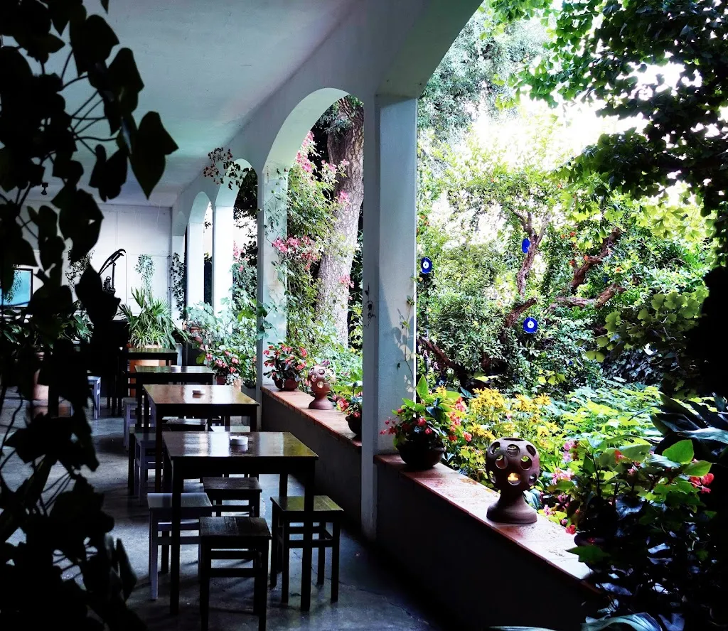 Calisto Cafè_Vailate_slider_image_3