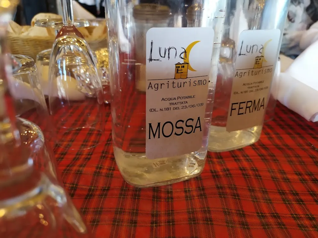 Menu_Agriturismo Luna_Valera Fratta_image_7