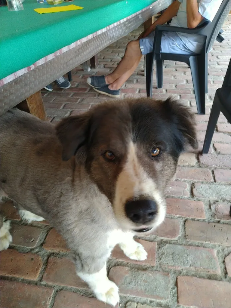 salvatore demma_Az. Agric. La Curt Mantuana