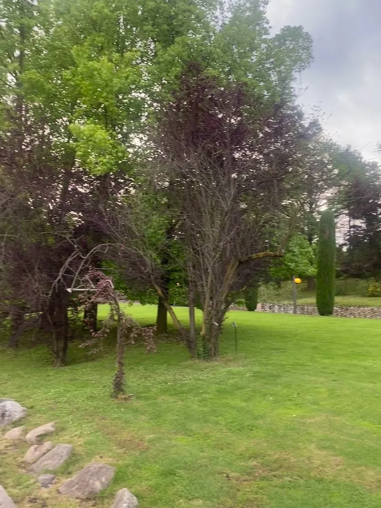 Mirjana Gavrilovic_Diodona Spazio & Ristorante_Vedano Olona_review