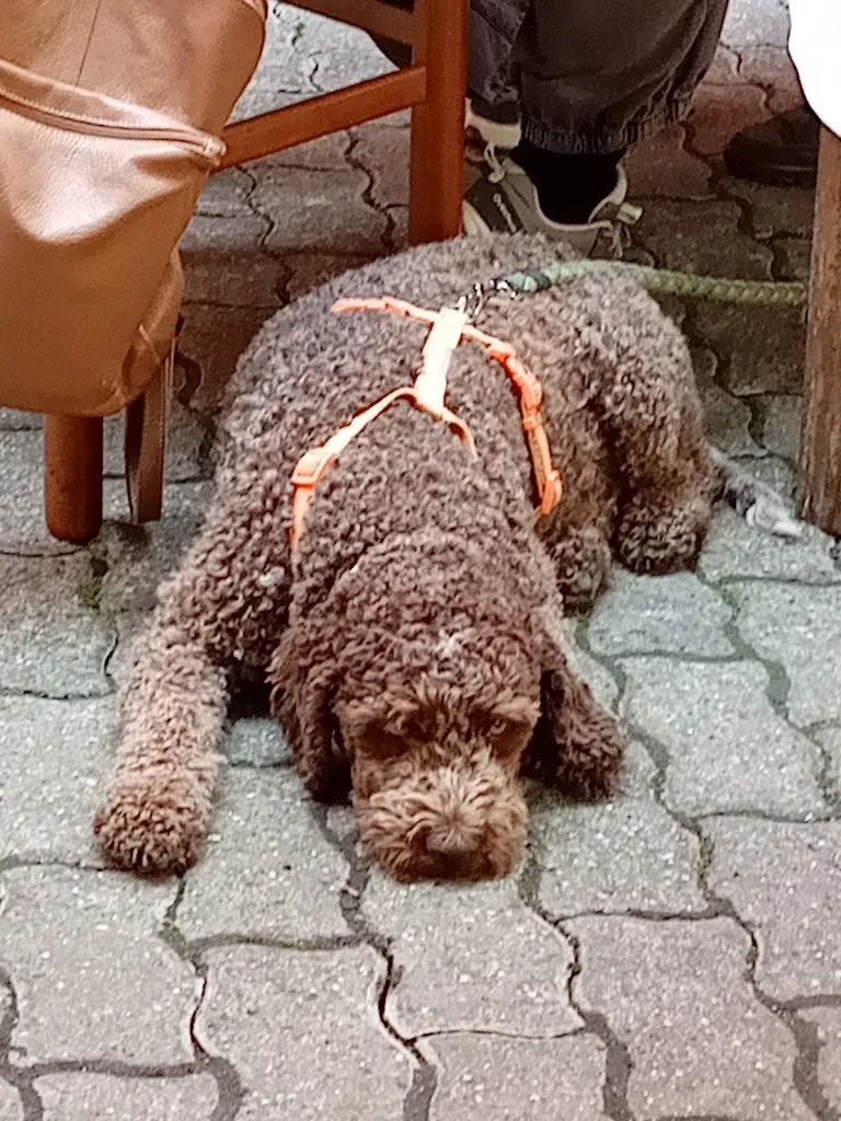 Maurizio Carlo Filippini_La Ginestrella_Varzi_review