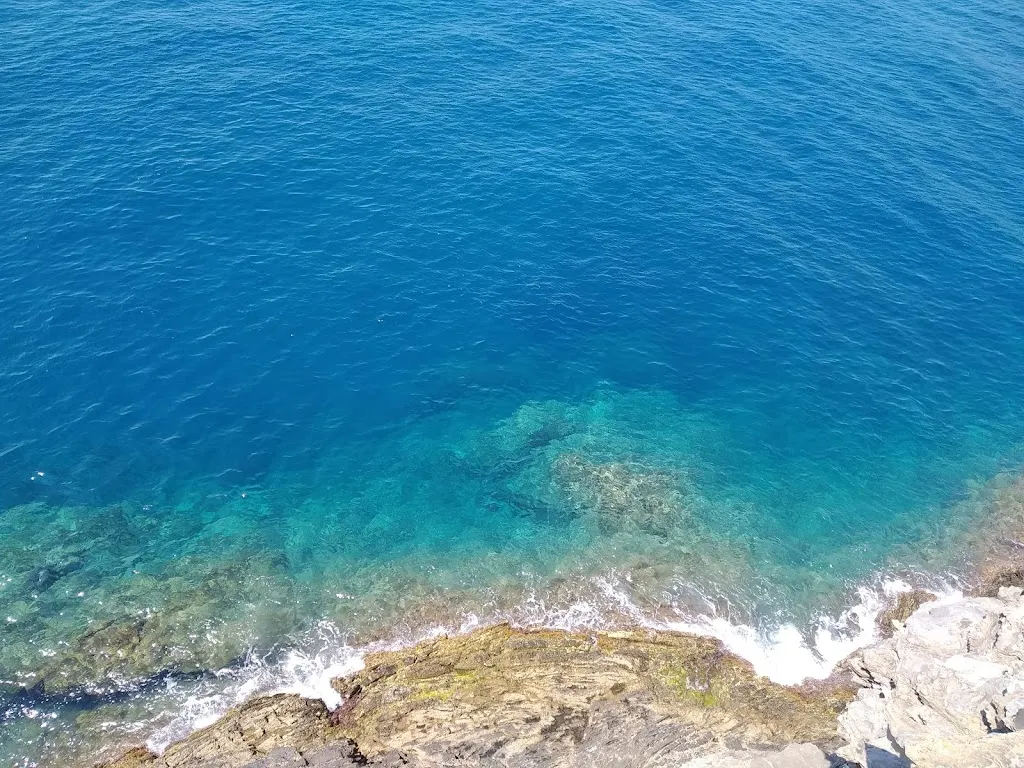 Murielle Huet_Baraonda Cafè S.n.c. di Debandi Monica & C._Vellezzo Bellini_review