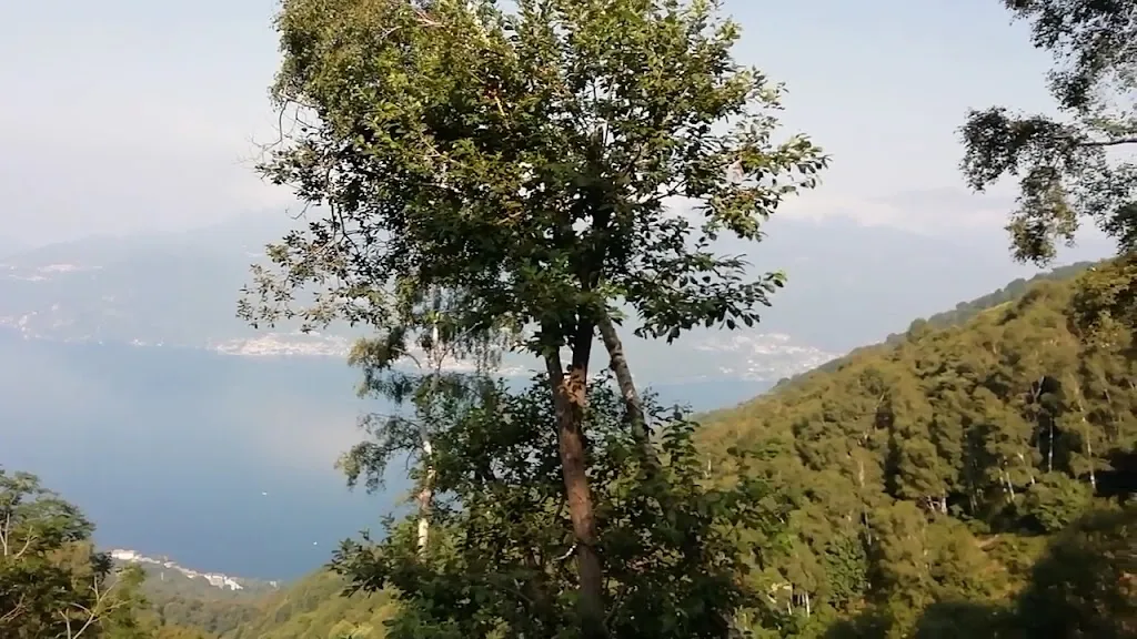 Alpe Camaggiore_Vendrogno_slider_image_2